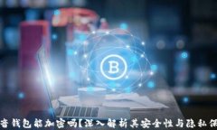 抖音钱包能加密吗？深入解析其安全性与隐私保