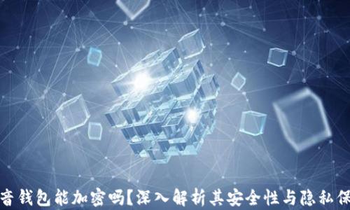
抖音钱包能加密吗？深入解析其安全性与隐私保护