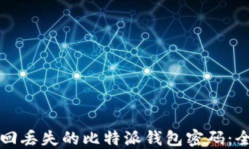 
如何找回丢失的比特派钱包密码：全面指南