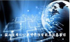 国内使用BitP的可行性分析与注意事项