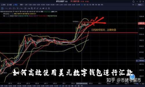 如何高效使用美元数字钱包进行汇款