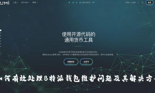 如何有效处理B特派钱包维护问题及其解决方案
