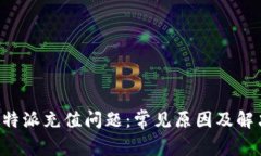 解决B特派充值问题：常见原因及解决方案