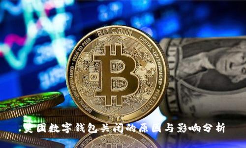 美团数字钱包关闭的原因与影响分析
