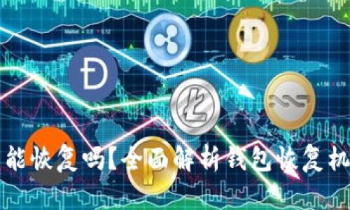 区块链钱包能恢复吗？全面解析钱包恢复机制及安全性