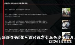 数字钱包跑路了吗？深入探讨数字金融的安全性