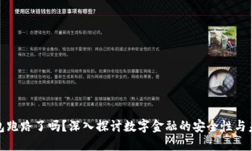 数字钱包跑路了吗？深入探讨数字金融的安全性与未来发展