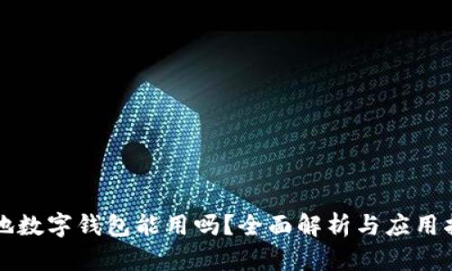 外地数字钱包能用吗？全面解析与应用指南