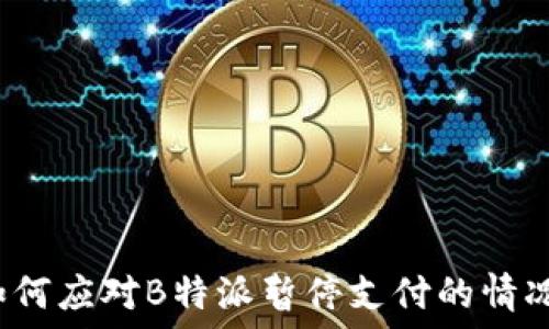   
如何应对B特派暂停支付的情况？