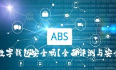 丽达数字钱包安全吗？全面评测与安全解析