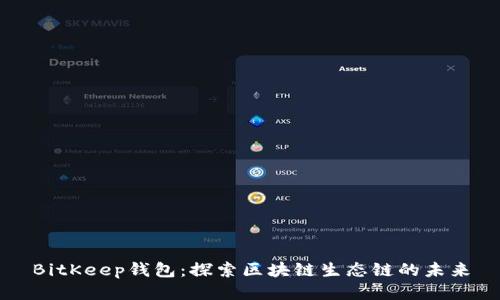 BitKeep钱包：探索区块链生态链的未来