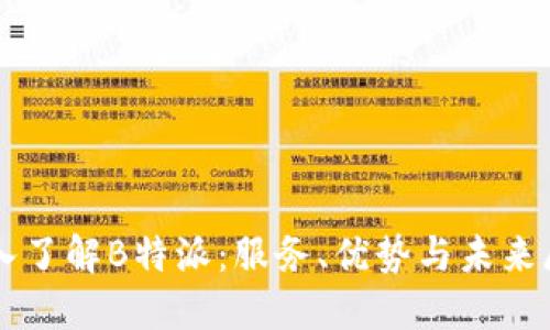 深入了解B特派：服务、优势与未来展望