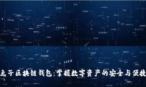 兔子区块链钱包：掌握数字资产的安全与便捷