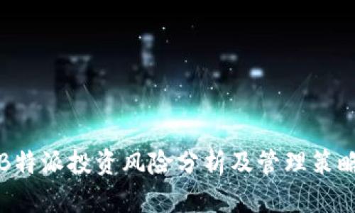B特派投资风险分析及管理策略