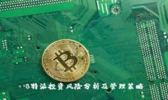 B特派投资风险分析及管理策略