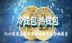 BitP更新系统所需时间解析及影响因素