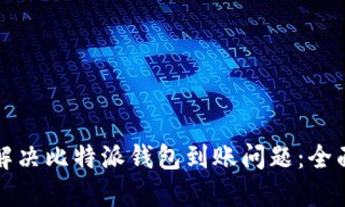 如何解决比特派钱包到账问题：全面指南