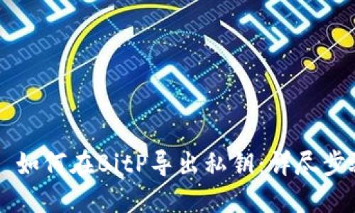 ### 如何在BitP导出私钥：详尽步骤指南