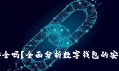 钱转到数字钱包安全吗？全面分析数字钱包的安