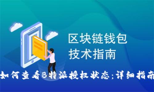 如何查看B特派授权状态：详细指南
