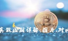 比特派钱包真假区别详解：图片、对比与视频解