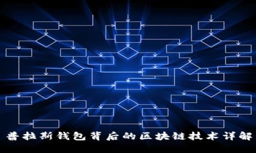 普拉斯钱包背后的区块链技术详解