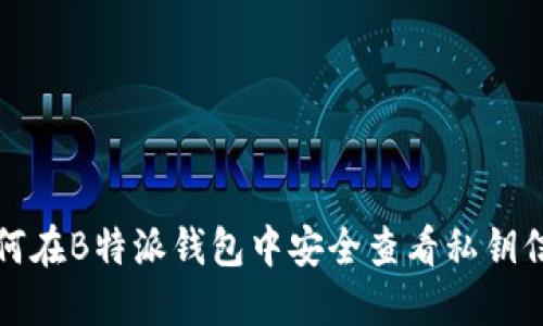 如何在B特派钱包中安全查看私钥信息