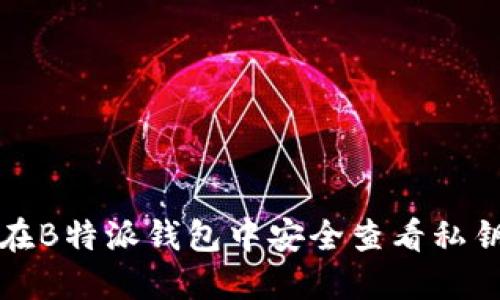 如何在B特派钱包中安全查看私钥信息
