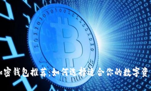 埃及最佳加密钱包推荐：如何选择适合你的数字资产存储工具