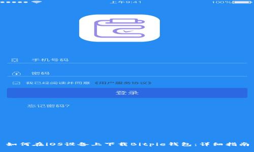 如何在iOS设备上下载Bitpie钱包：详细指南