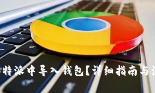 如何在B特派中导入钱包？详细指南与注意事项