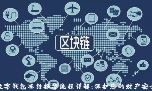 
数字钱包冻结报警流程详解：保护您的财产安全