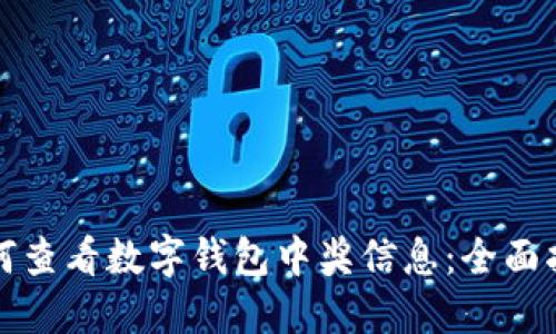 如何查看数字钱包中奖信息：全面指南
