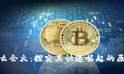 数字钱包为什么会火：探究其快速崛起的原因与未来趋势