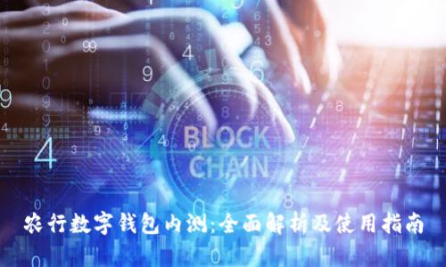 农行数字钱包内测：全面解析及使用指南