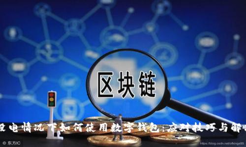 手机没电情况下如何使用数字钱包：应对技巧与解决方案