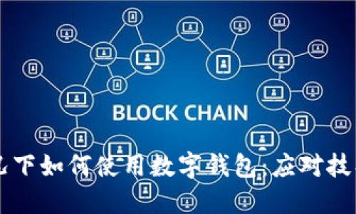 手机没电情况下如何使用数字钱包：应对技巧与解决方案