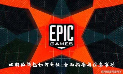 比特派钱包如何升级：全面指南与注意事项