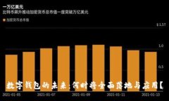 数字钱包的未来：何时将全面落地与应用？