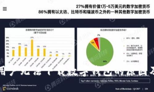 中国手机用户无法下载数字钱包的原因及解决方案