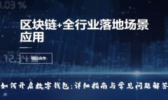 如何开启数字钱包：详细指南与常见问题解答
