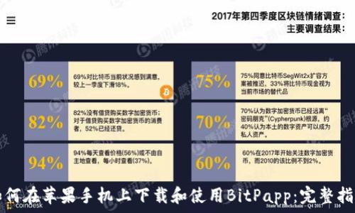   
如何在苹果手机上下载和使用BitPapp：完整指南