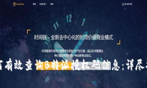 如何有效查询B特派授权码信息：详尽指南