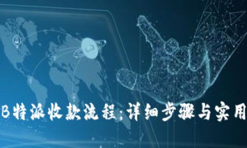 揭秘B特派收款流程：详细步骤与实用攻略