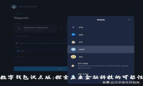 数字钱包试点版：探索未来金融科技的可能性