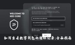 如何查看数字钱包的转账记录：全面指南