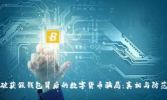 破获假钱包背后的数字货币骗局：真相与防范