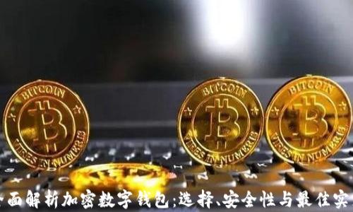 
全面解析加密数字钱包：选择、安全性与最佳实践