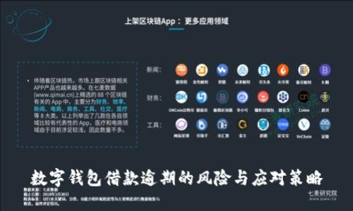 数字钱包借款逾期的风险与应对策略