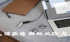 数字钱包借款逾期的风险与应对策略